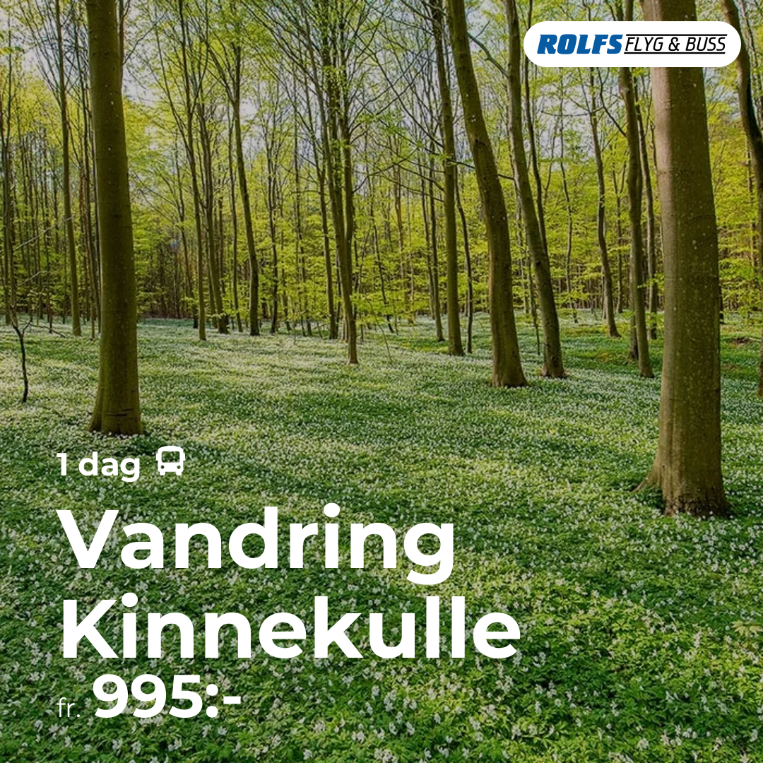 Vandring Kinnekulle