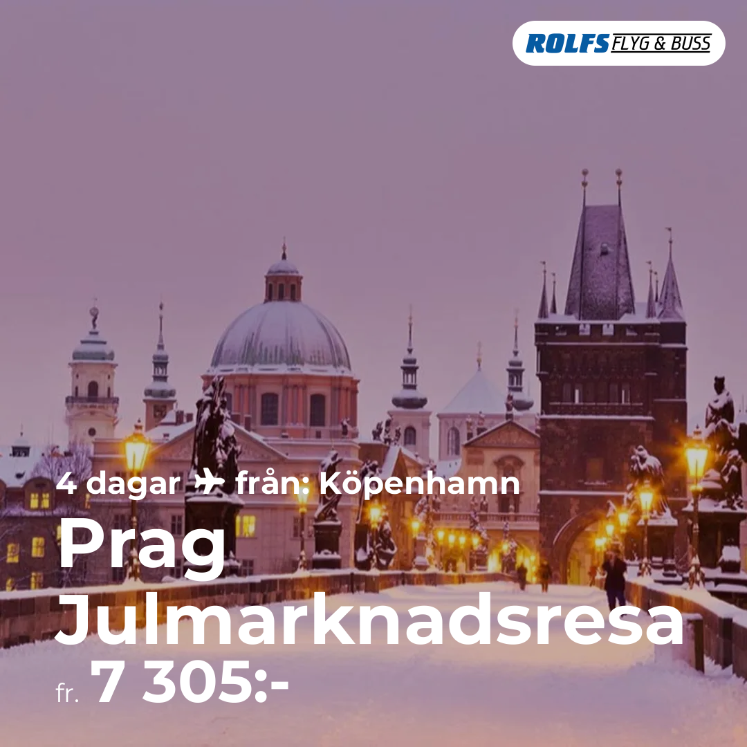 Prag Julmarknadsresa