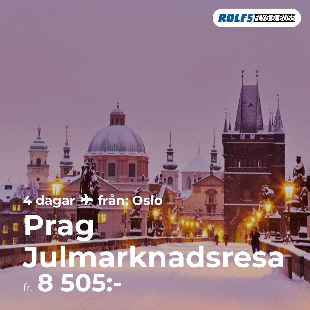Prag Julmarknadsresa