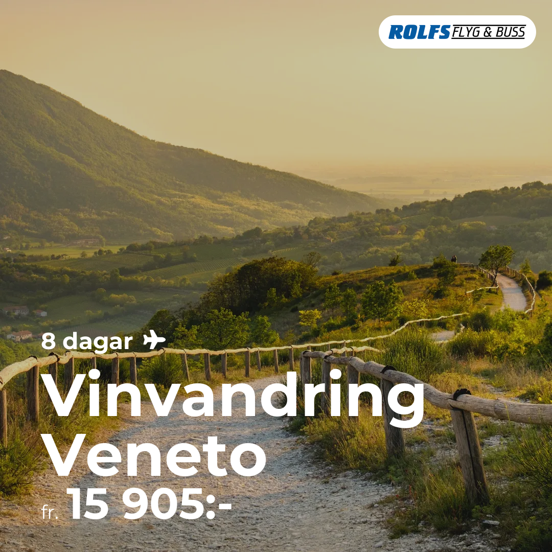 Vinvandring Veneto