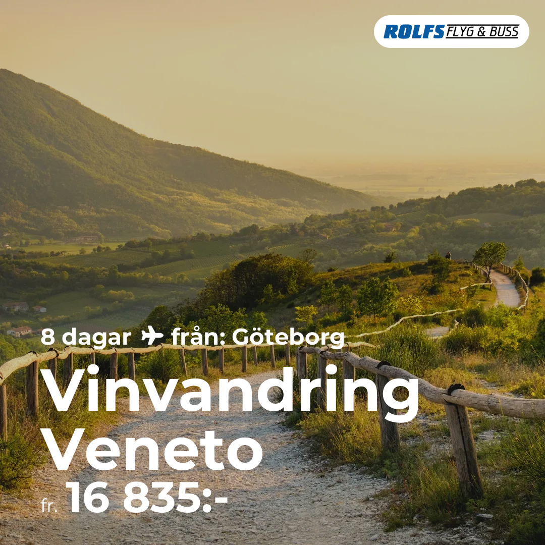 Vinvandring Veneto