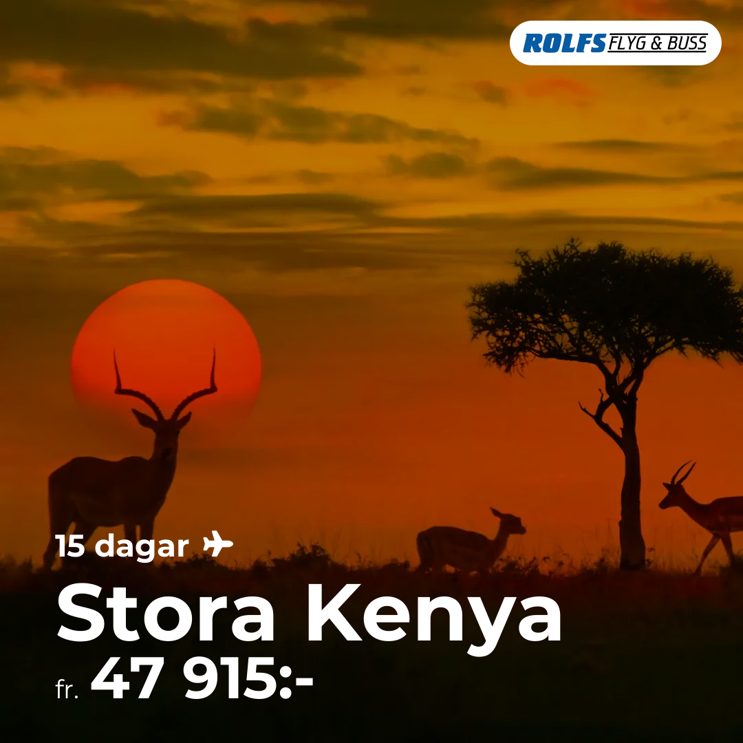 Stora Kenya