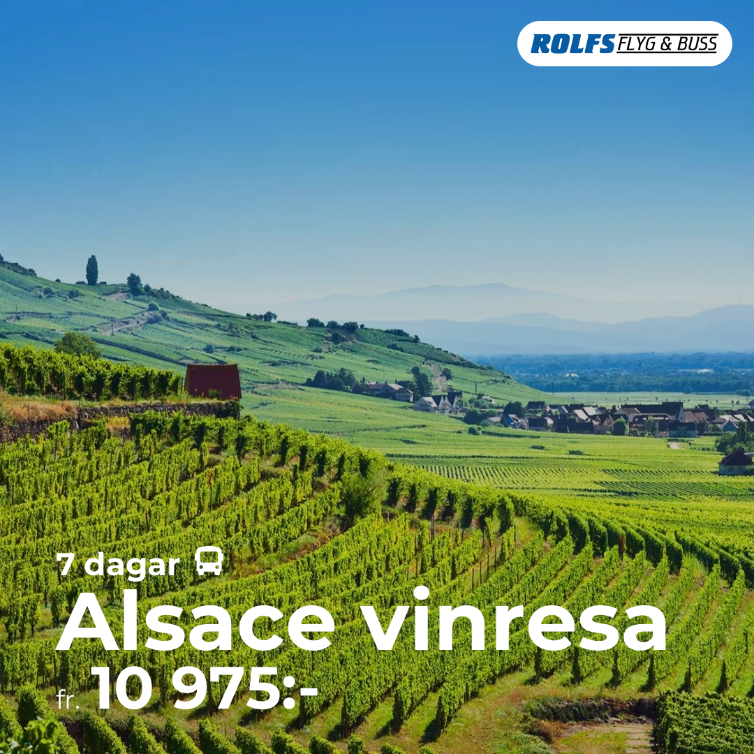Alsace vinresa - 7 dagar