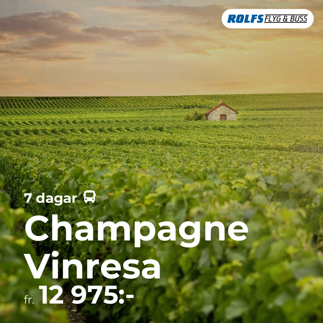 Champagne Vinresa