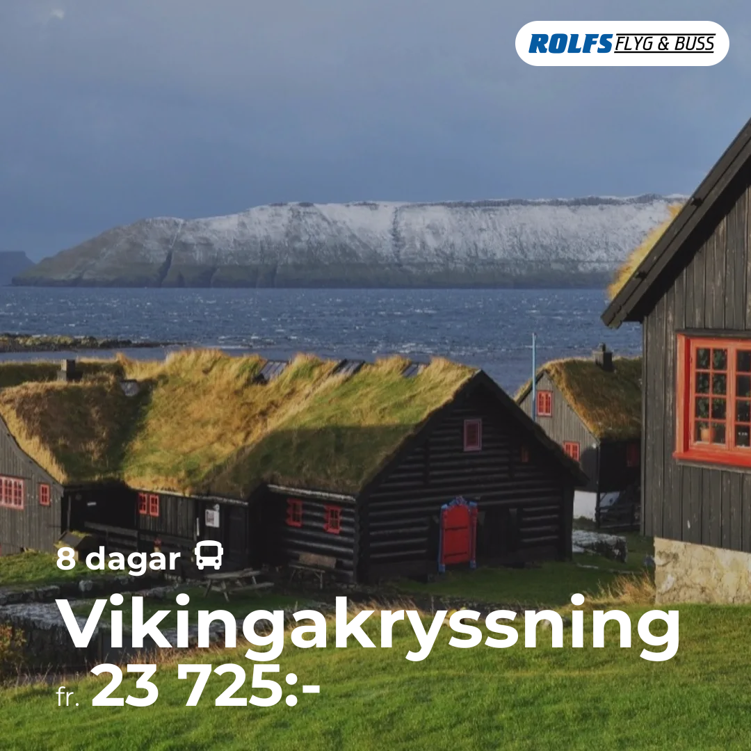 Vikingakryssning