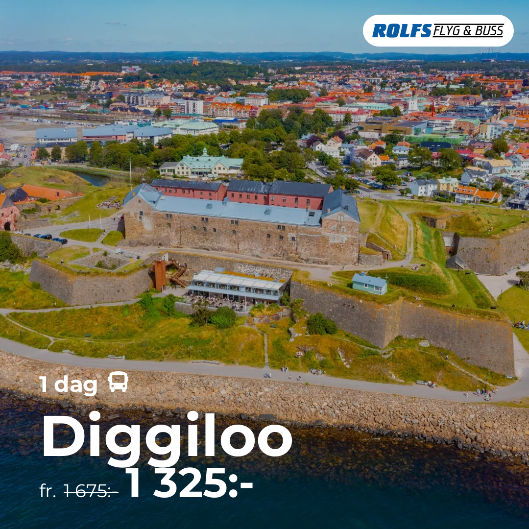 Diggiloo