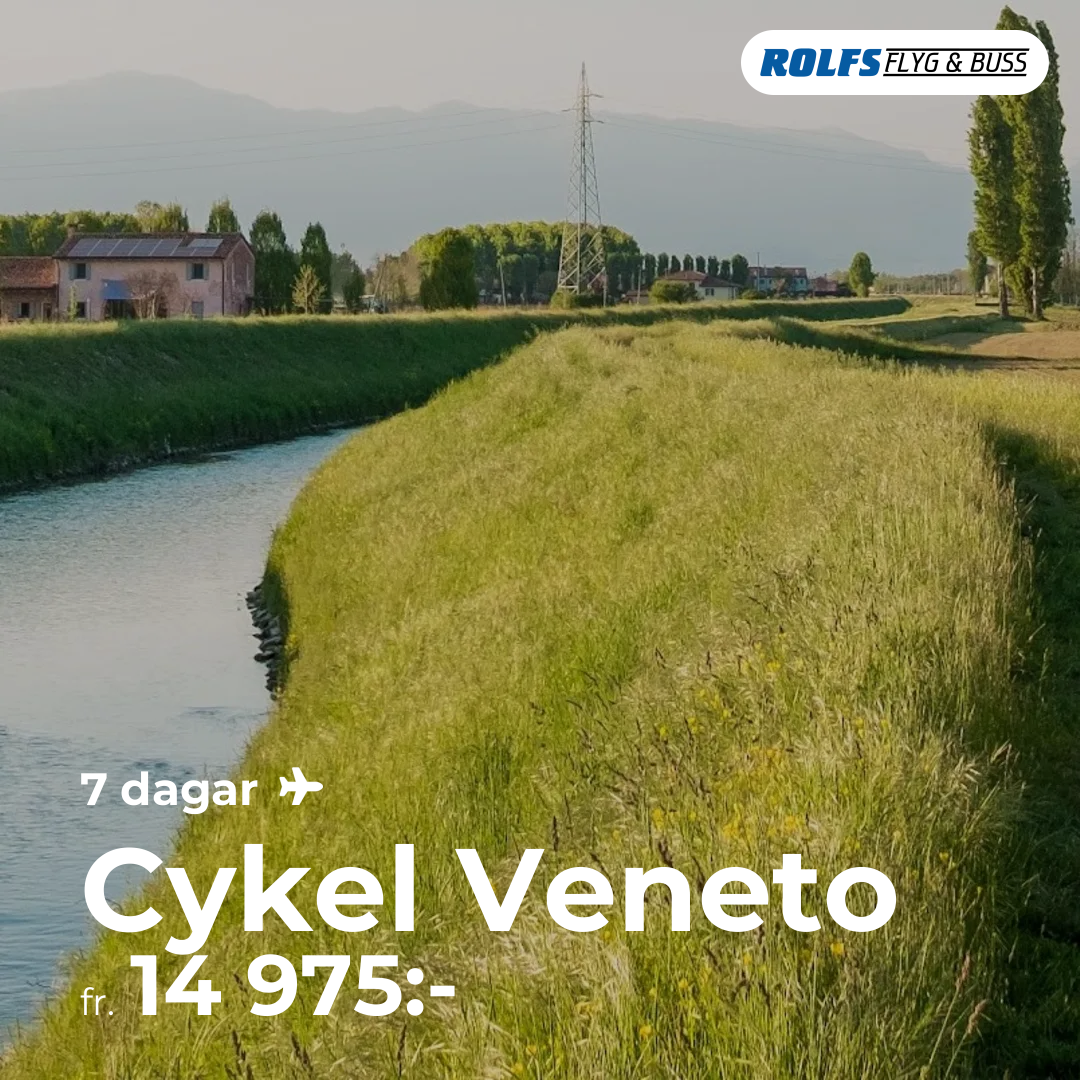 Cykel Veneto