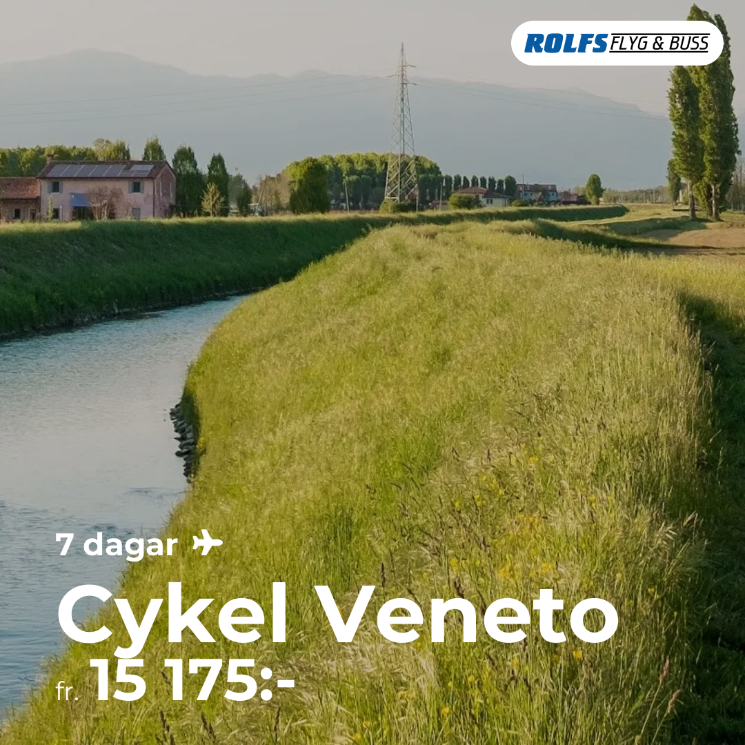Cykel Veneto