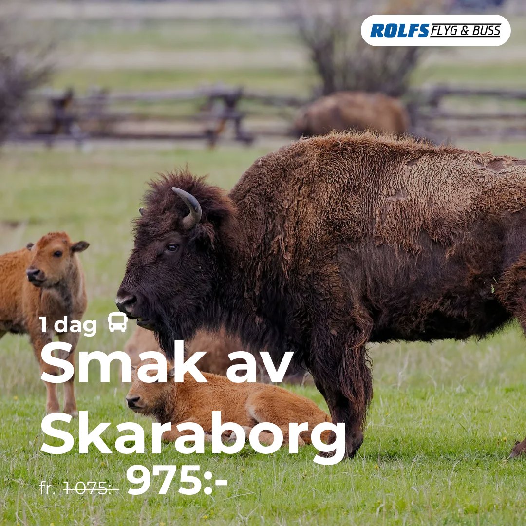 Smak av Skaraborg – 1 dag