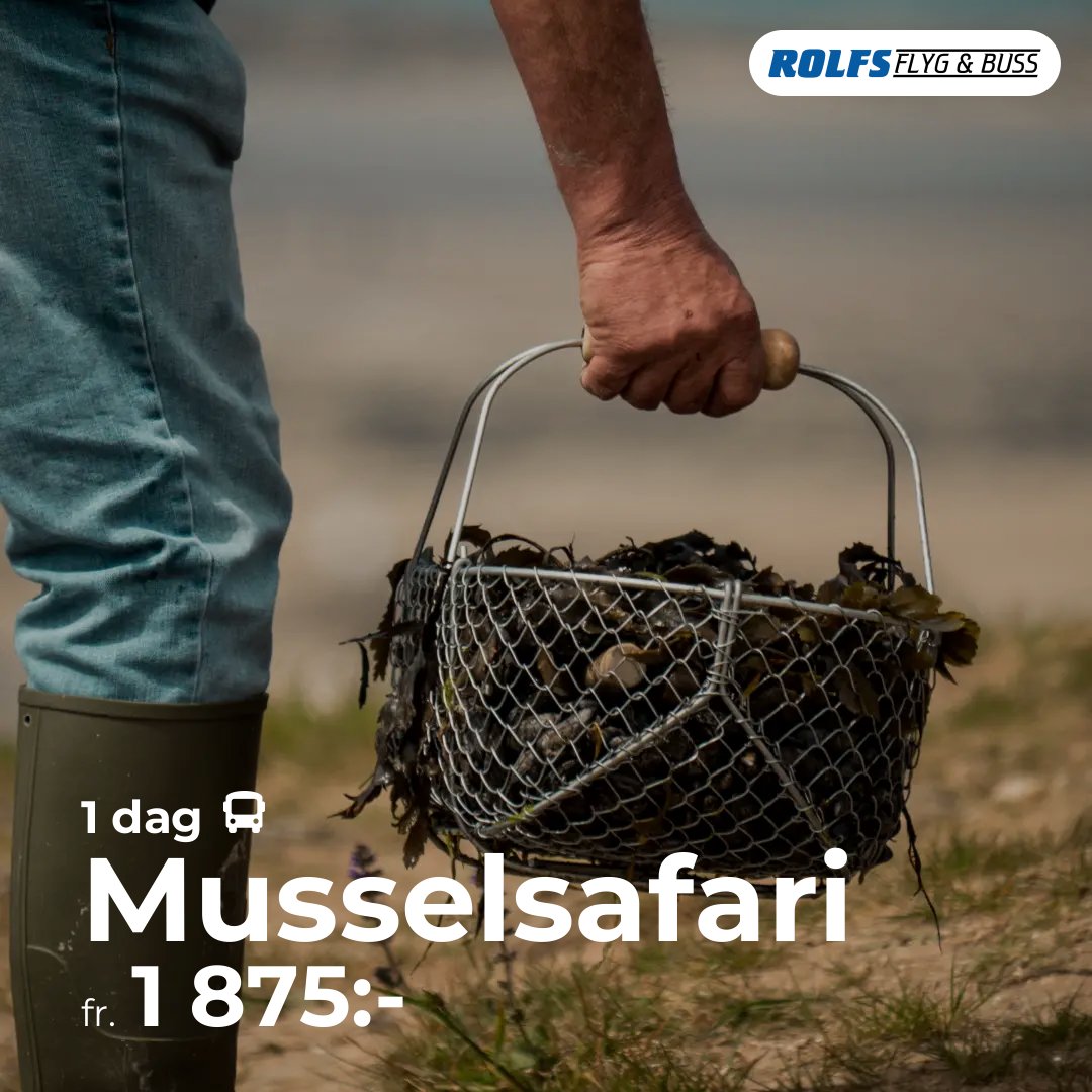 Musselsafari – 1 dag