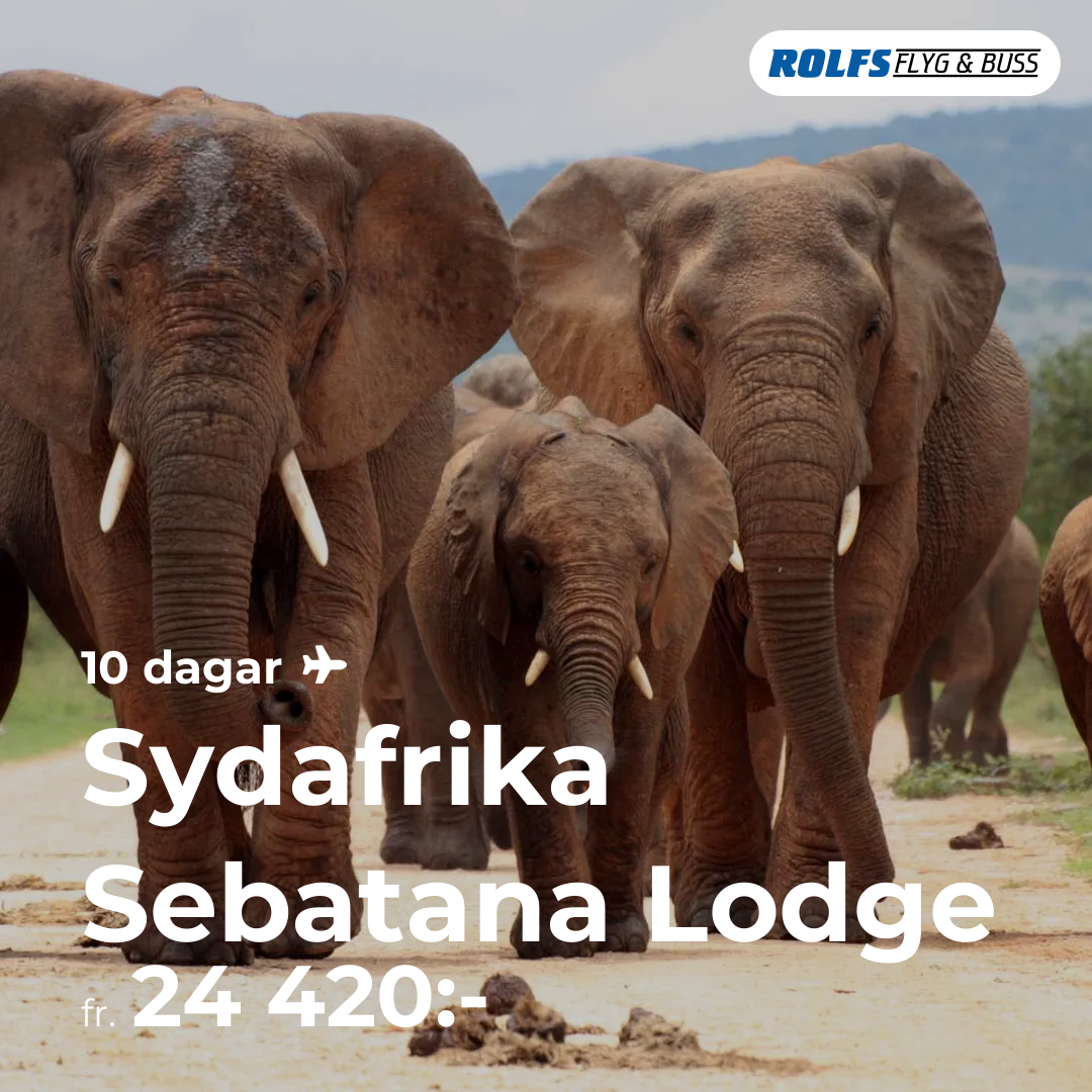 Sydafrika Sebatana Lodge