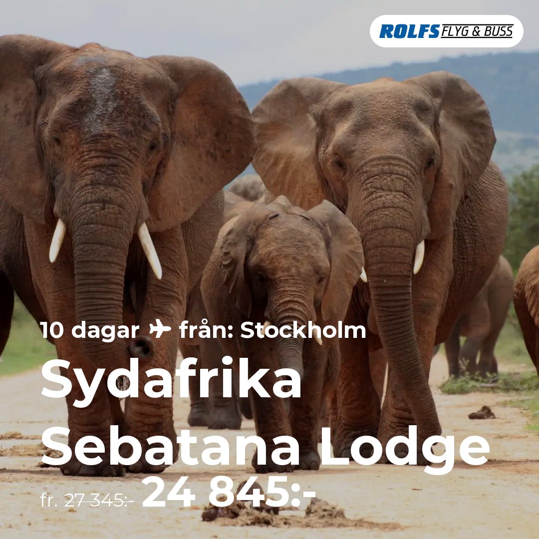 Sydafrika Sebatana Lodge