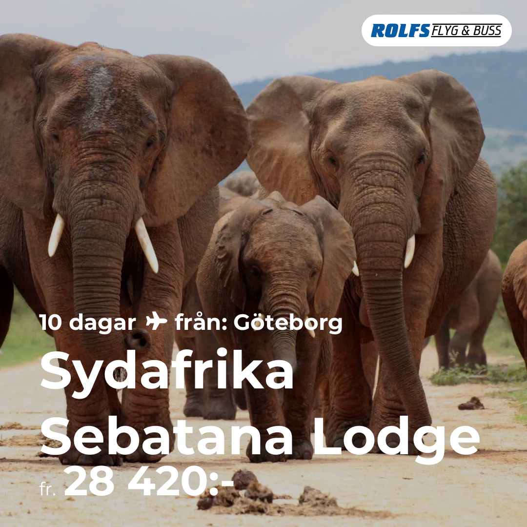 Sydafrika Sebatana Lodge
