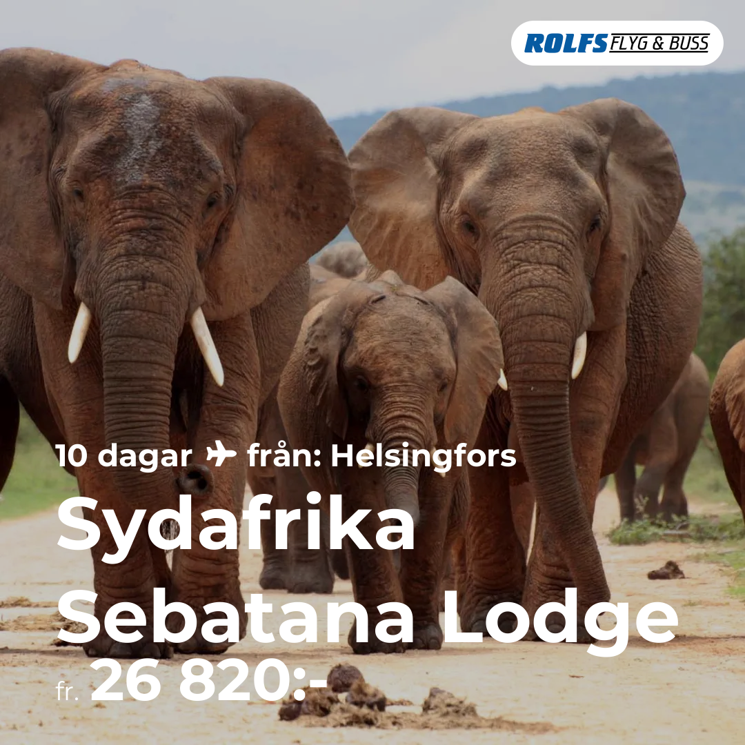 Sydafrika Sebatana Lodge