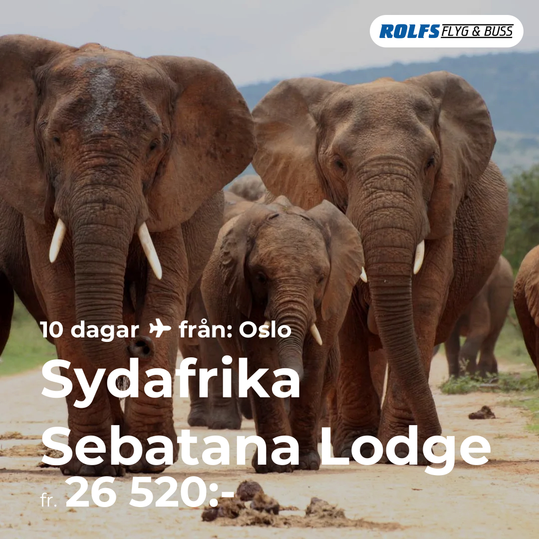 Sydafrika Sebatana Lodge