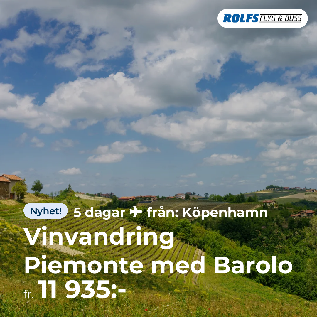Vinvandring Piemonte med Barolo