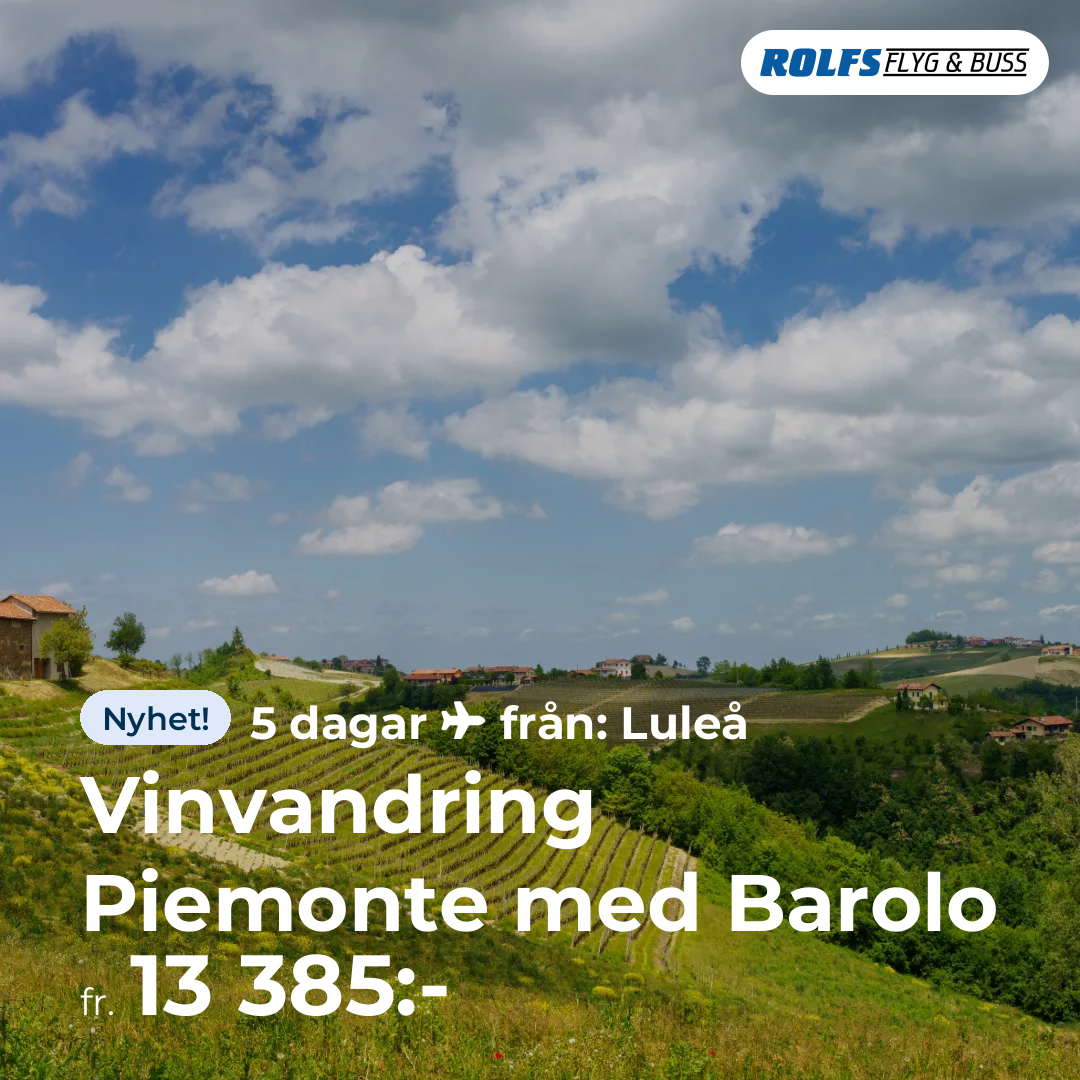 Vinvandring Piemonte med Barolo