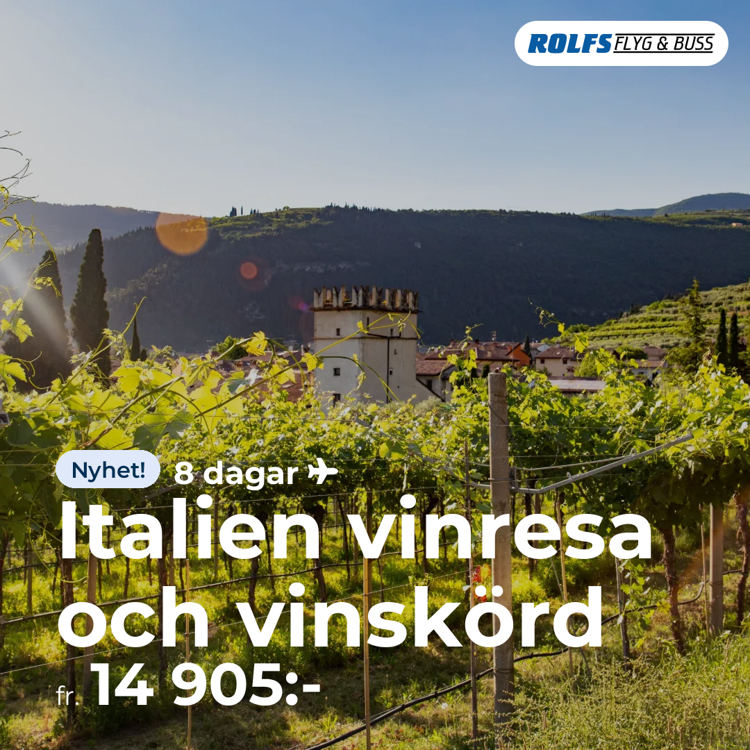 Italien vinresa och vinskörd