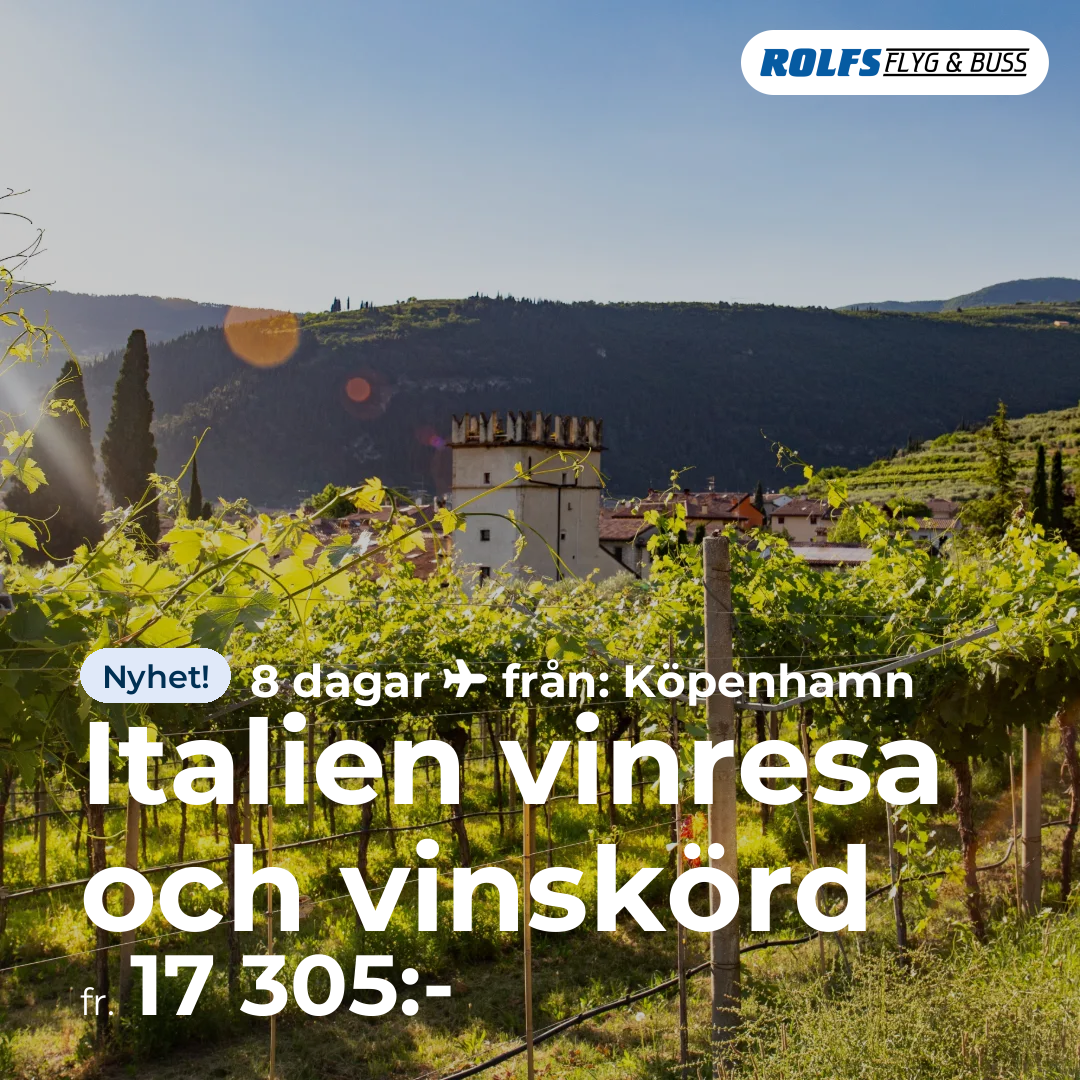 Italien vinresa och vinskörd