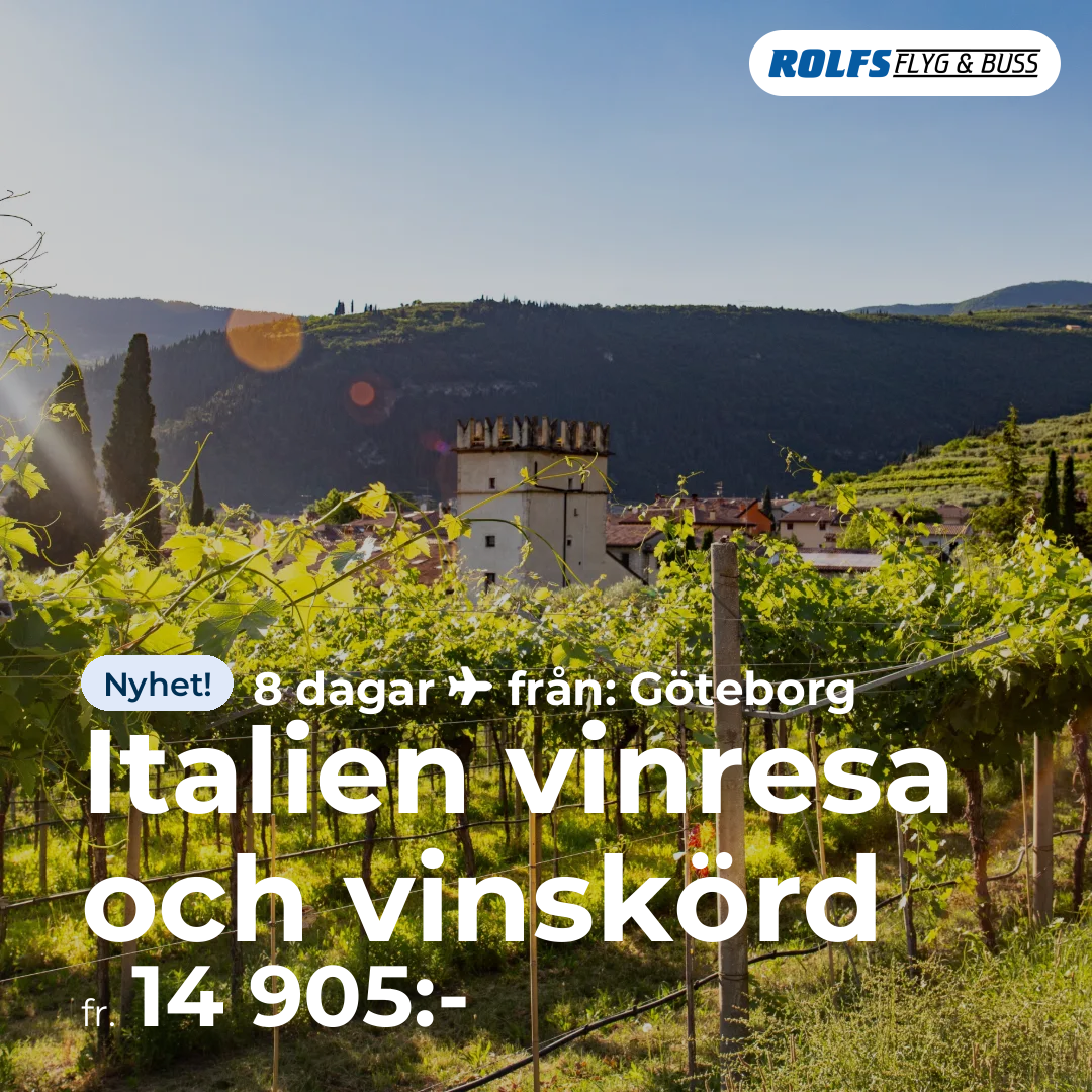 Italien vinresa och vinskörd