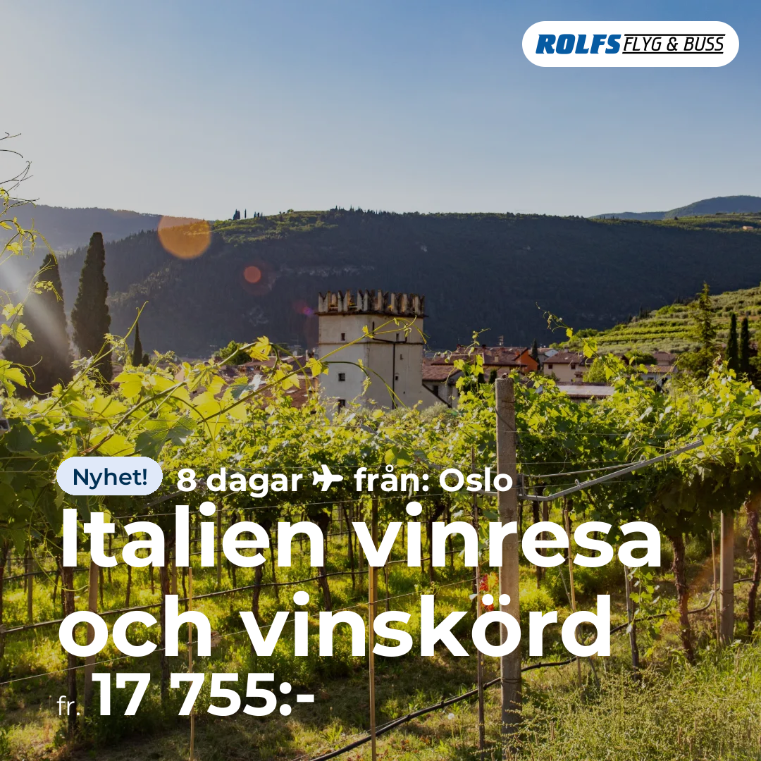 Italien vinresa och vinskörd