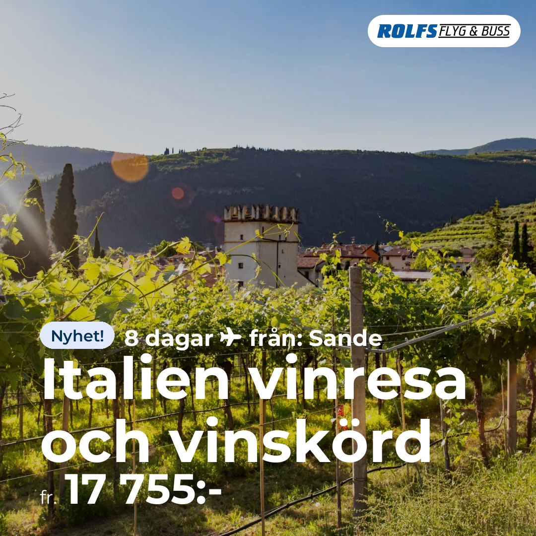 Italien vinresa och vinskörd