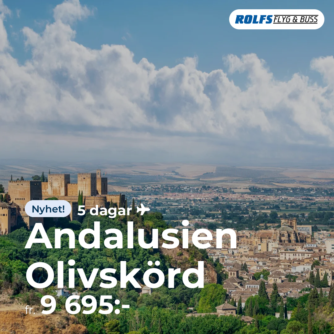 Andalusien Olivskörd