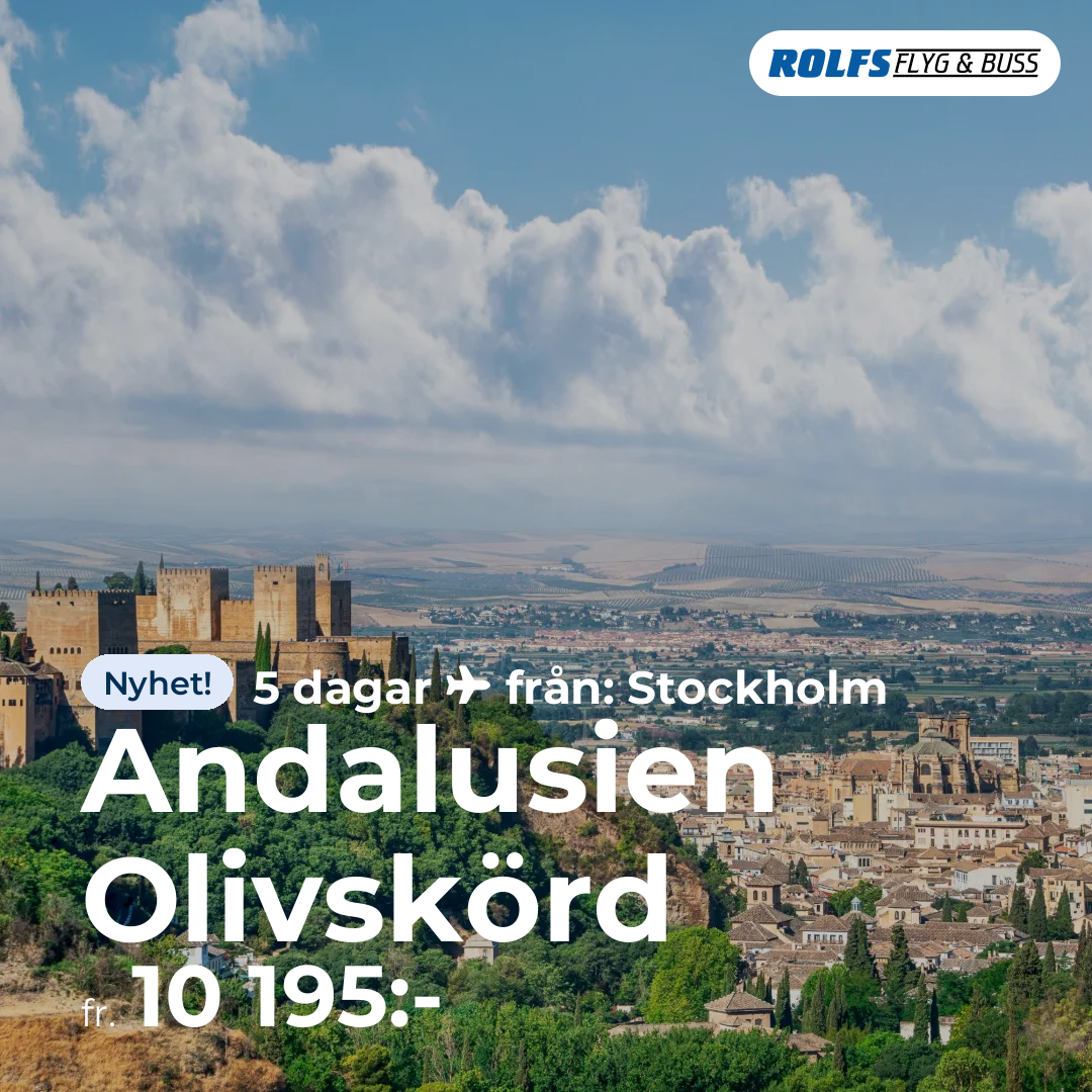 Andalusien Olivskörd