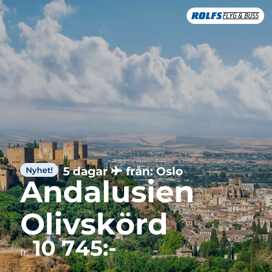 Andalusien Olivskörd
