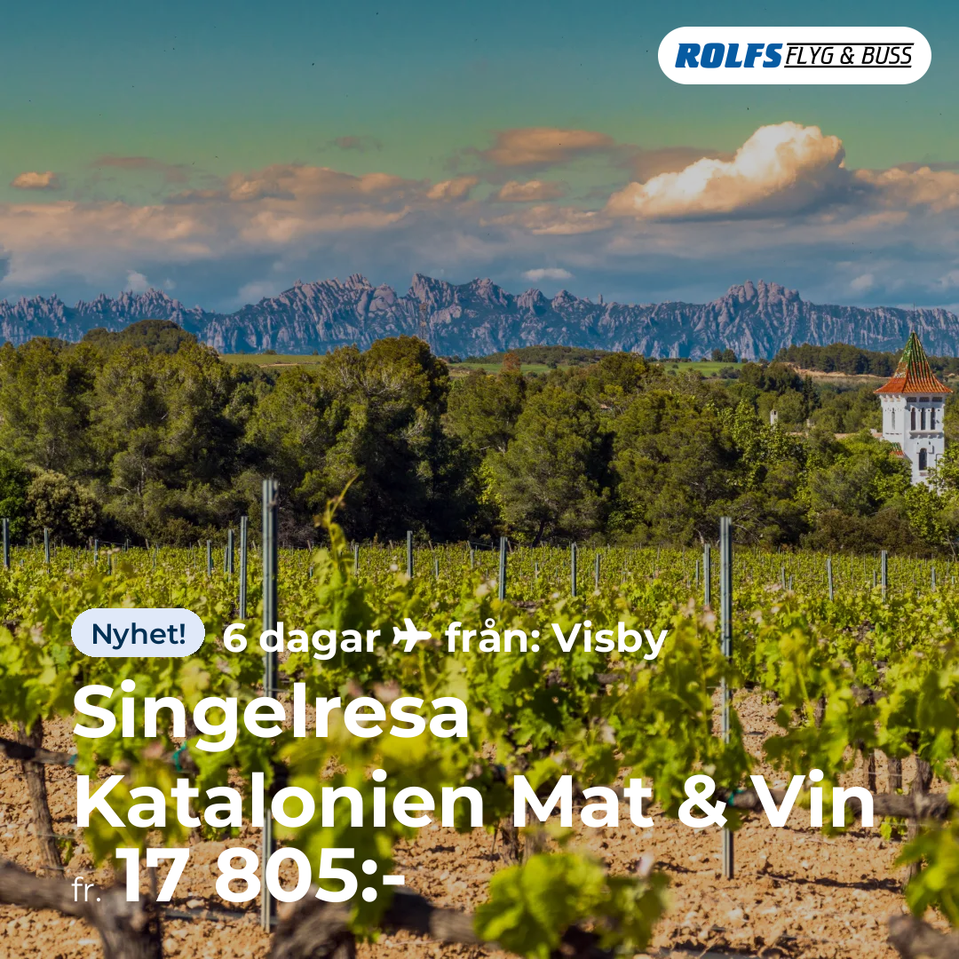 Singelresa Katalonien Mat & Vin
