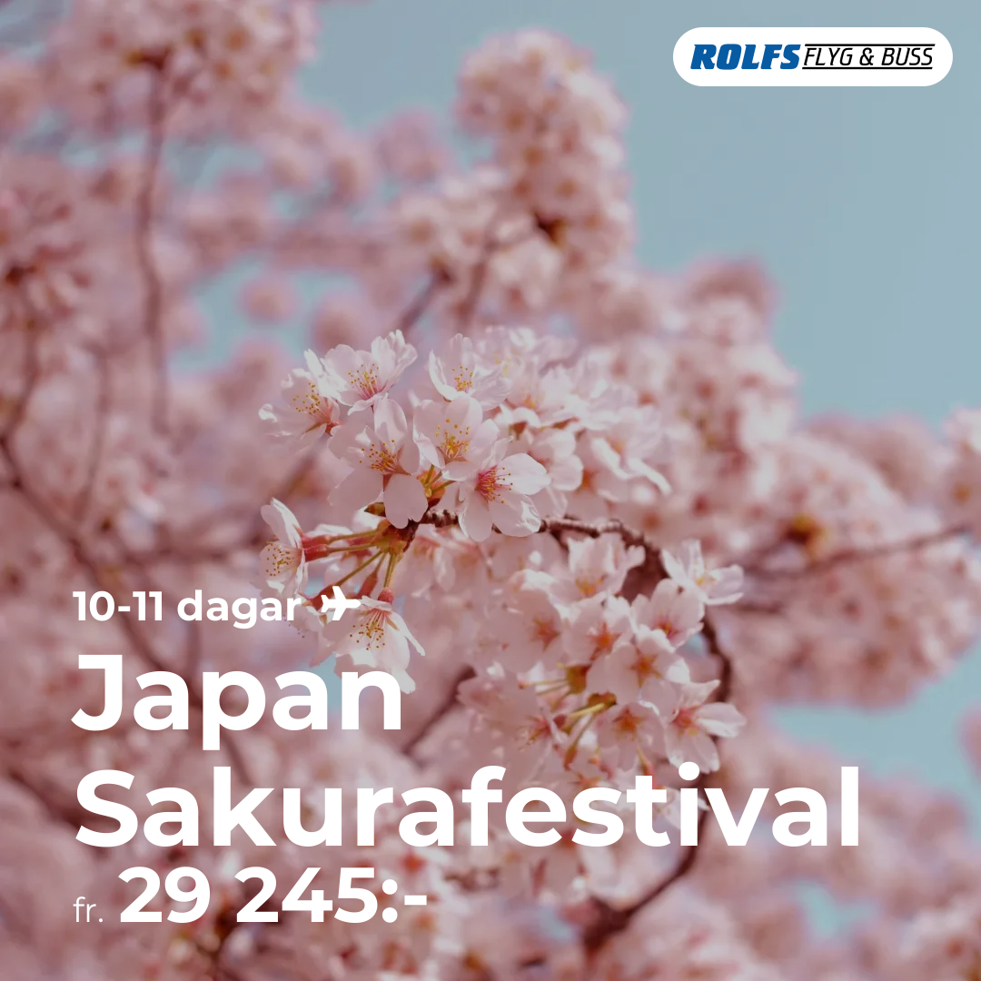 Japan Sakurafestival
