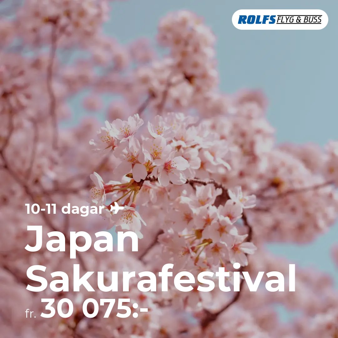 Japan Sakurafestival