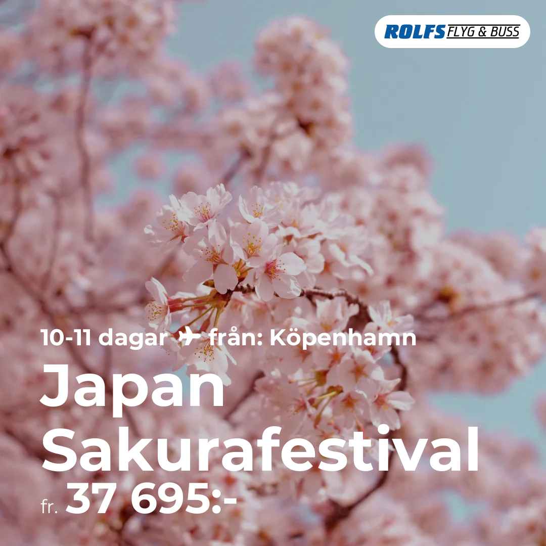 Japan Sakurafestival