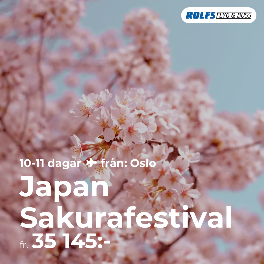 Japan Sakurafestival