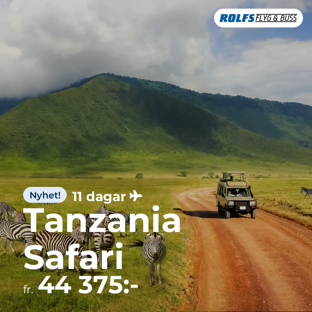 Tanzania Safari