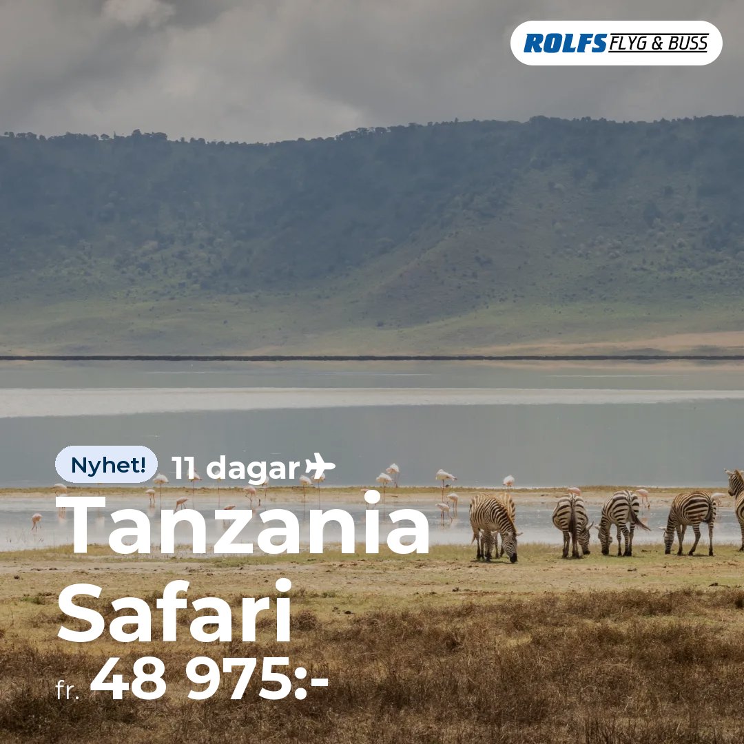 Tanzania Safari