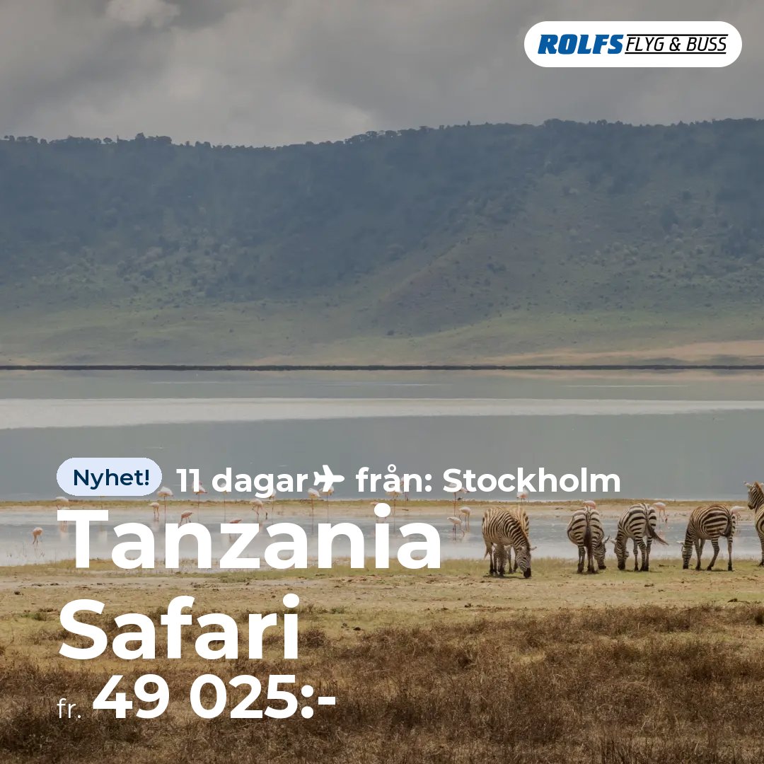 Tanzania Safari