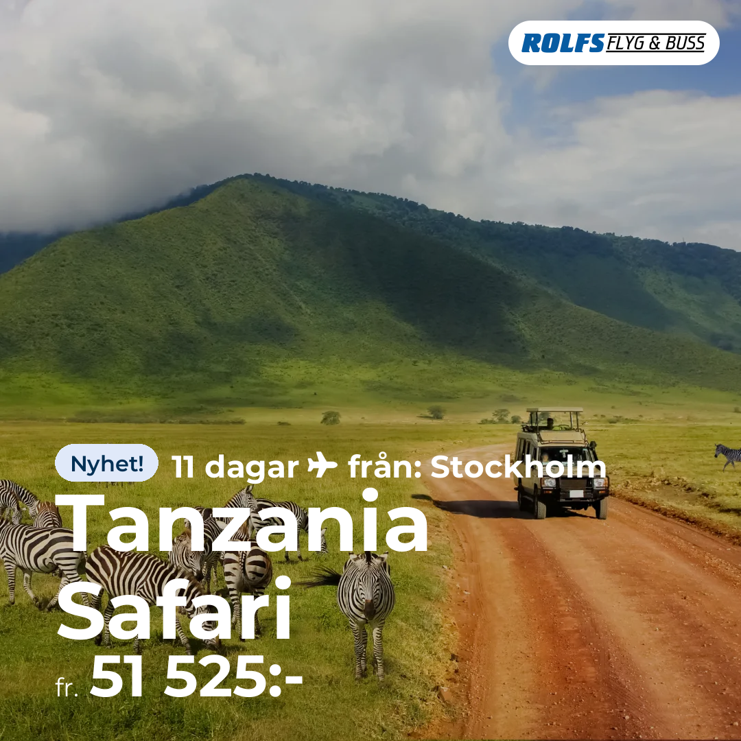 Tanzania Safari