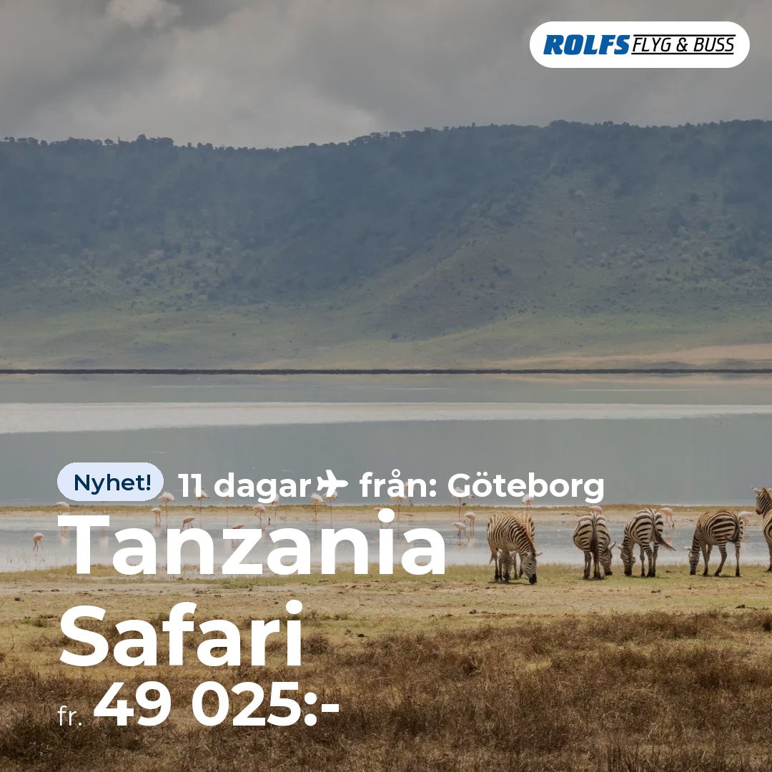 Tanzania Safari