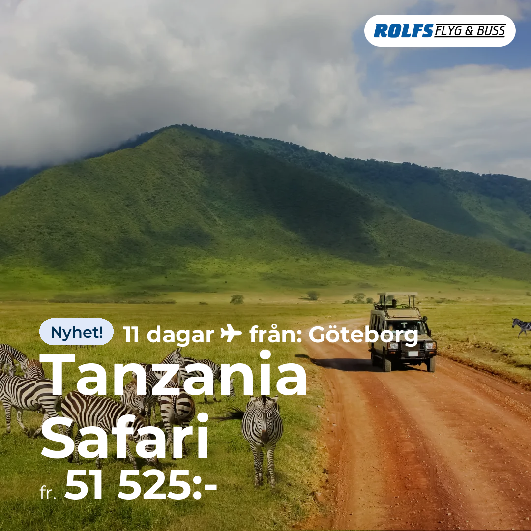 Tanzania Safari