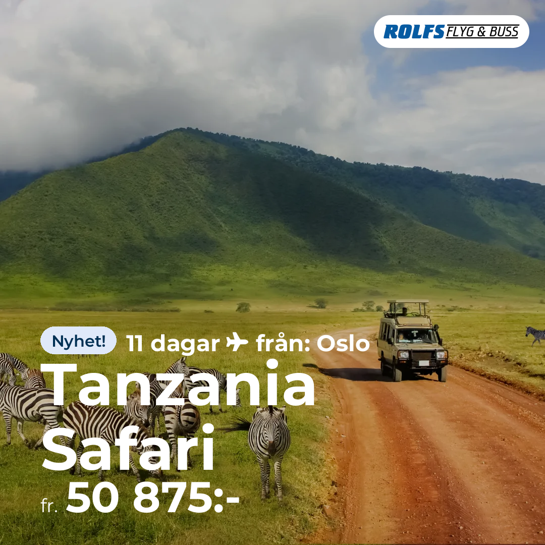 Tanzania Safari
