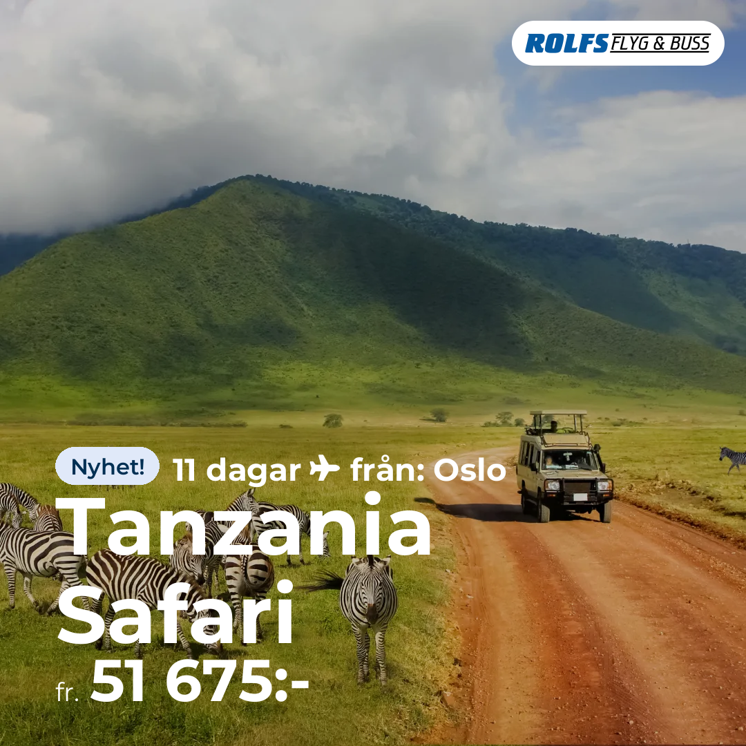 Tanzania Safari