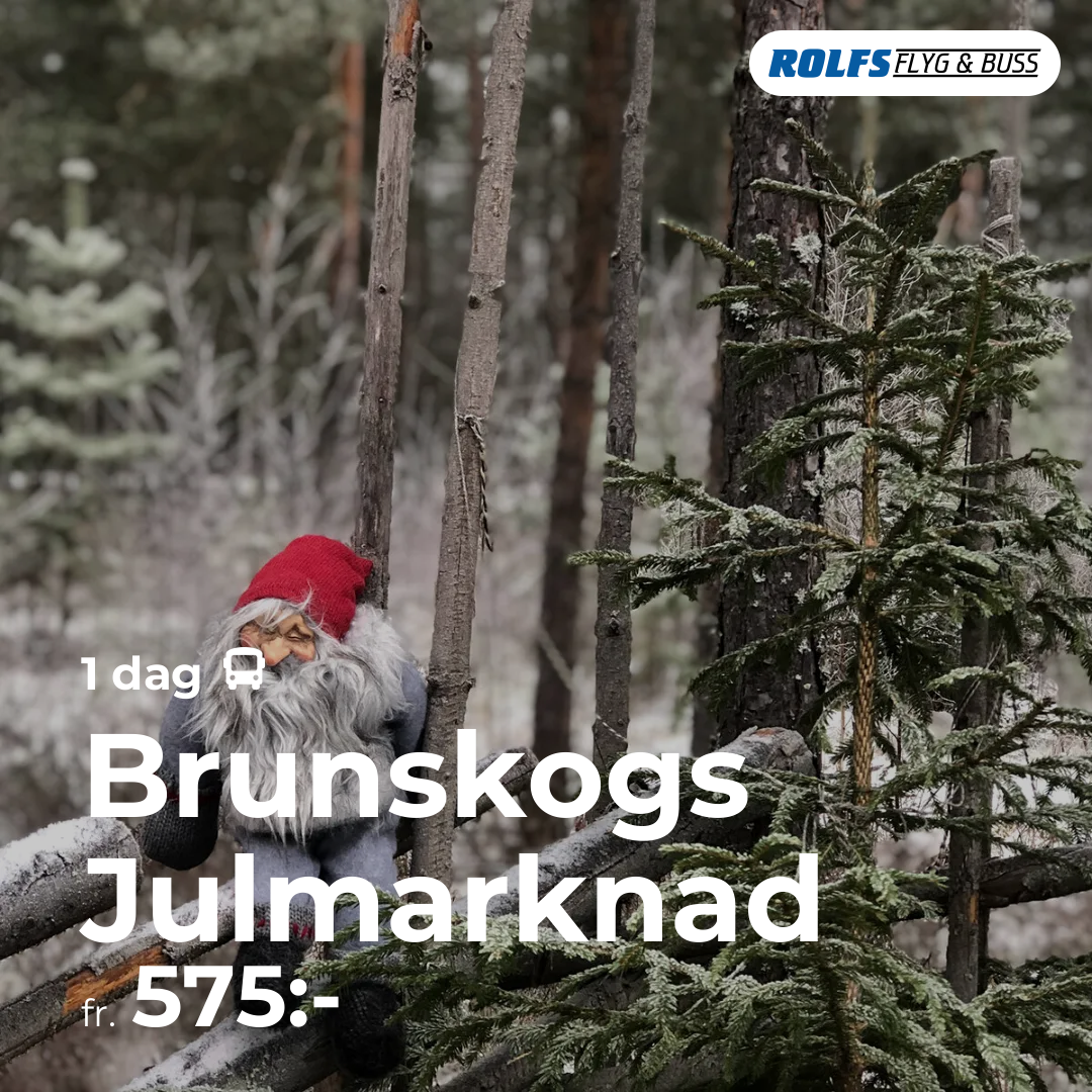 Brunskogs Julmarknad