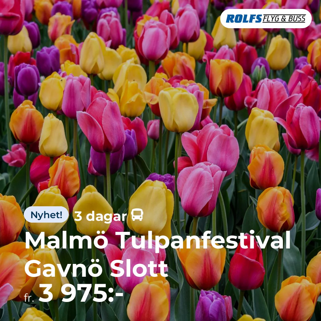 Malmö Tulpanfestival Gavnö Slott