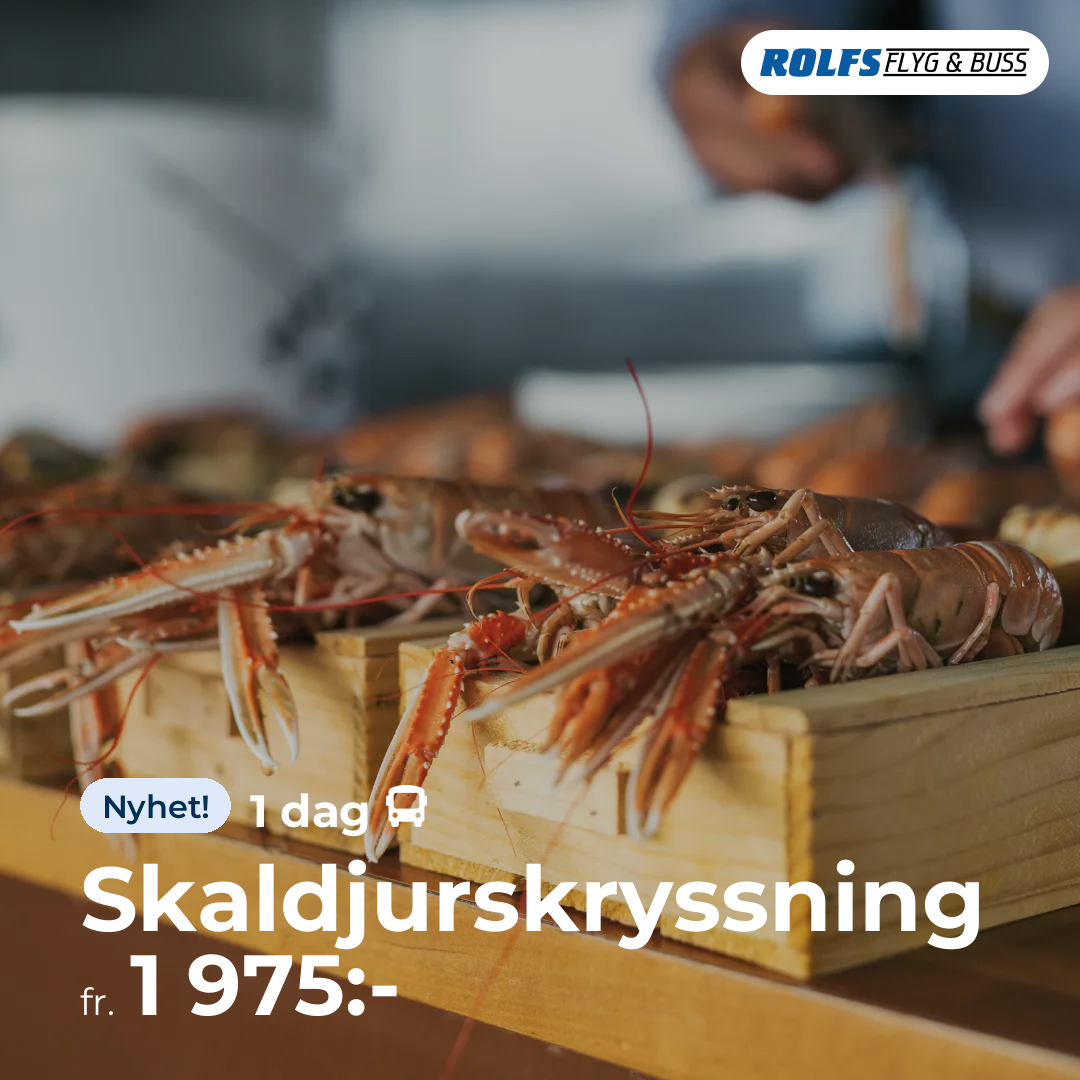 Skaldjurskryssning