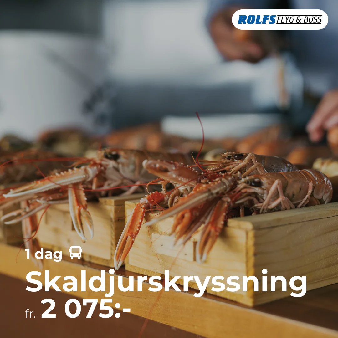 Skaldjurskryssning