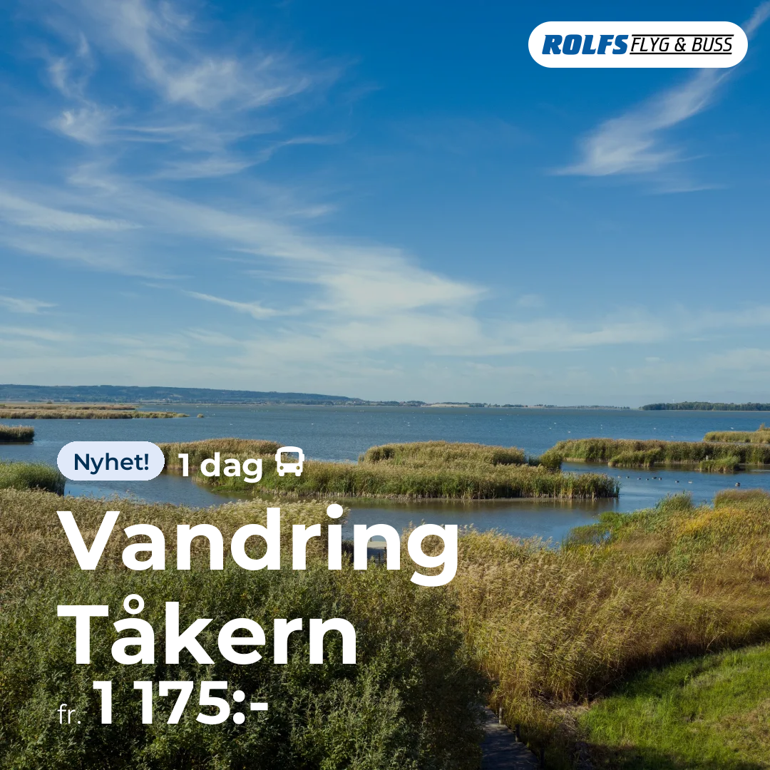 Vandring Tåkern