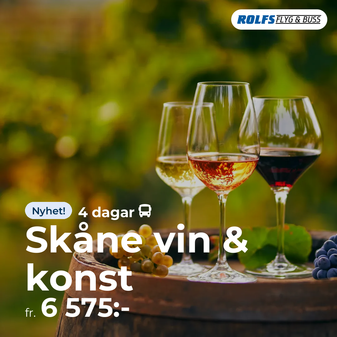 Skåne vin & konst