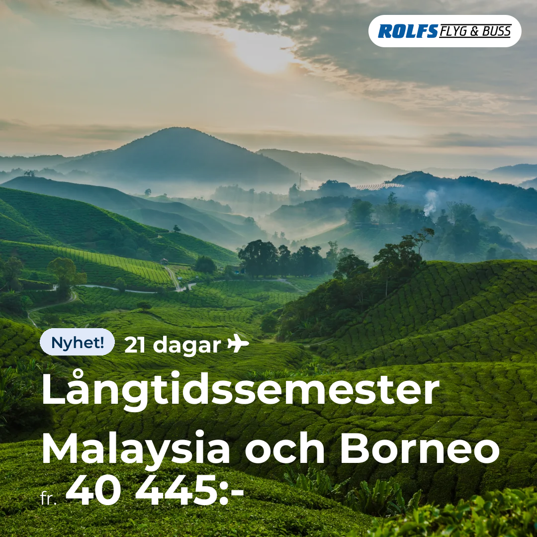 Långtidssemester Malaysia och Borneo