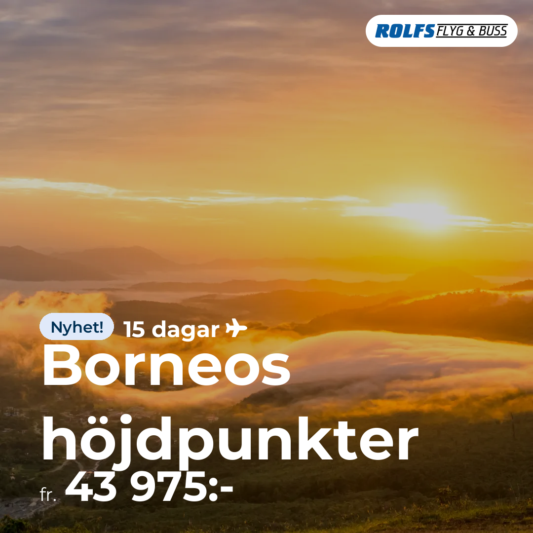 Borneos höjdpunkter